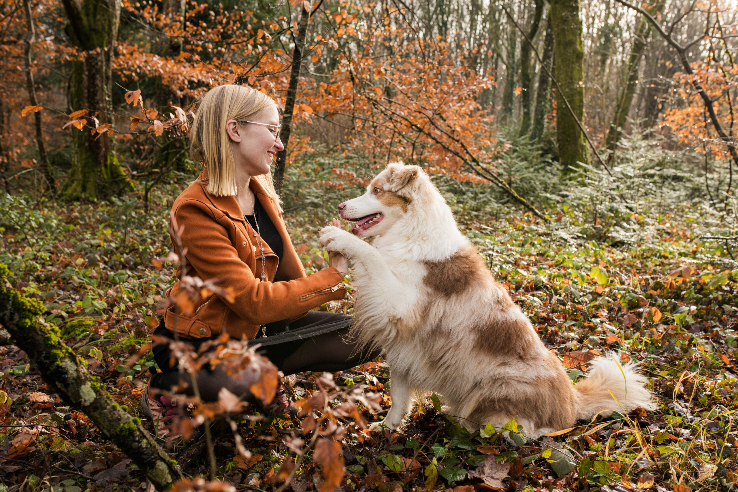 maitre chien séance photo photographe belfort territoire montbéliard benedicte hoff danjoutin
