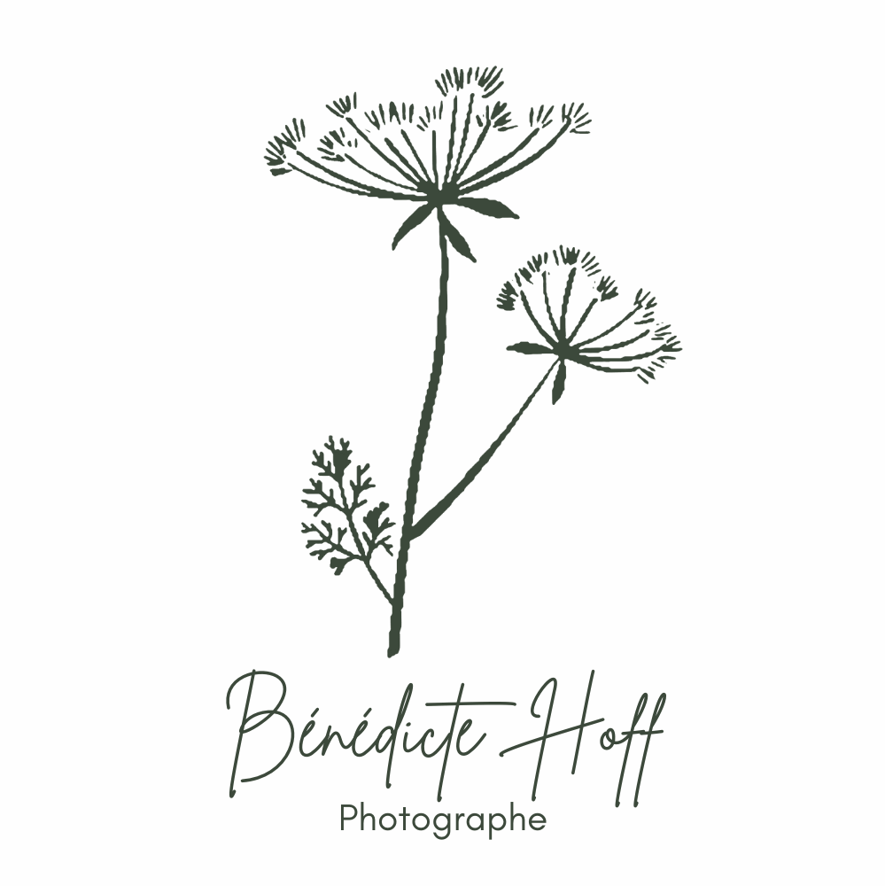 photo logo benedicte hoff photo photographie belfort montbéliard famille