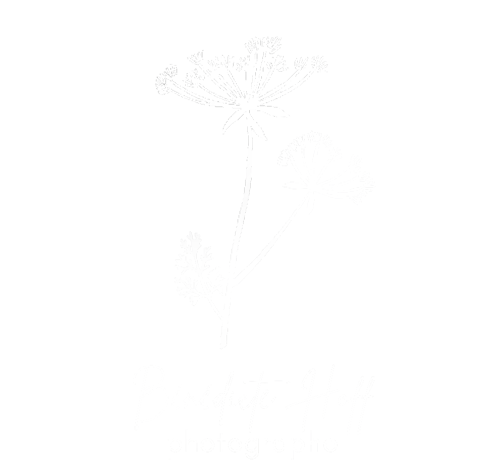 Bénédicte Hoff photographe à Belfort