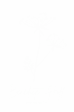 Bénédicte Hoff photographe à Belfort