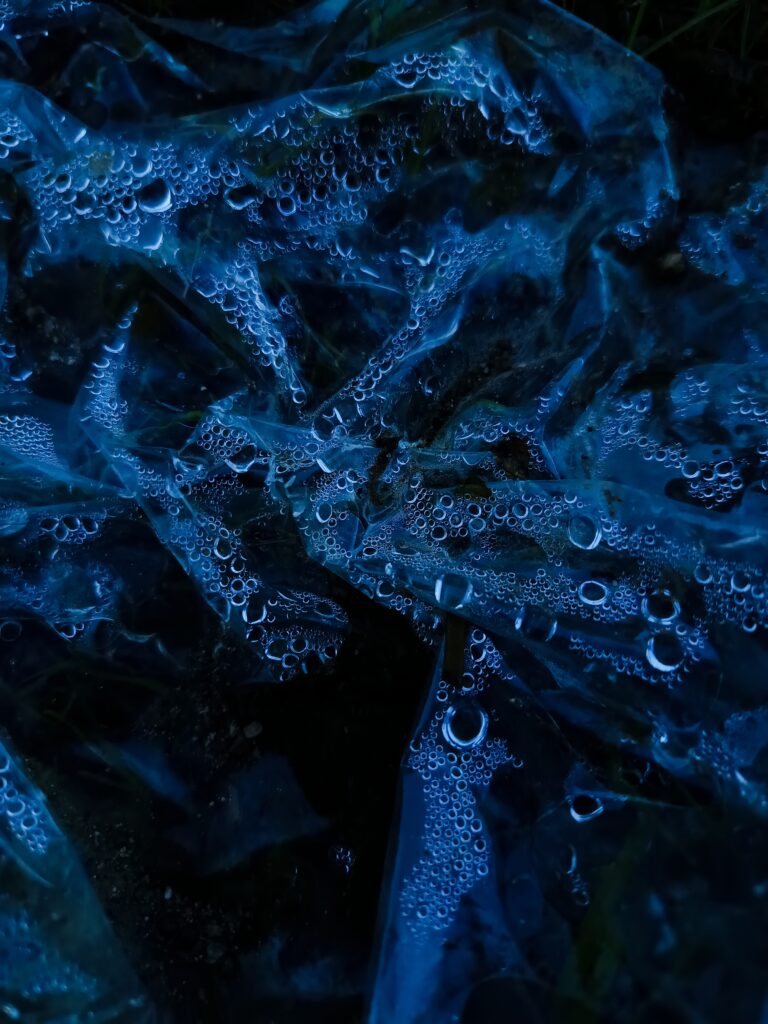 atelier photo danjoutin réalisation eleve texture