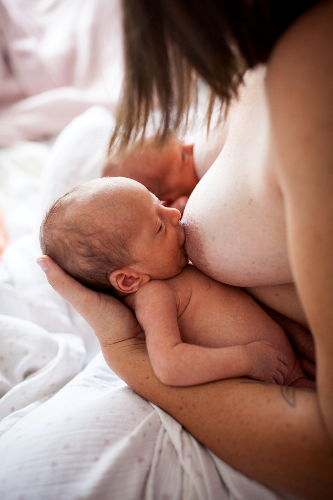 jumeaux allaitement maternelle photographe belfort