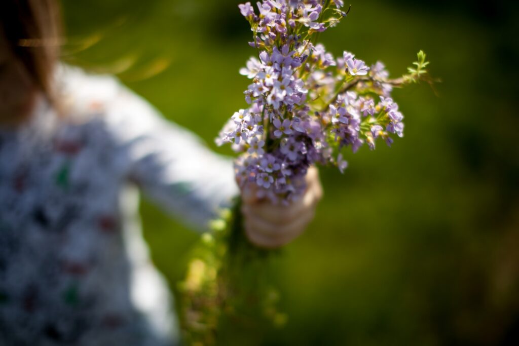 portrait enfant territoire de belfort